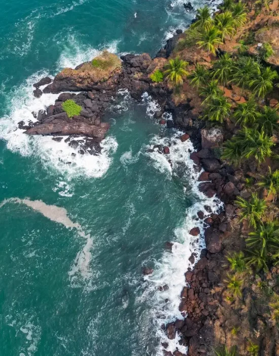 aerial-top-view-tropical-beach-with-green-palm-trees-sunlight-drone-view-goa_175356-13817
