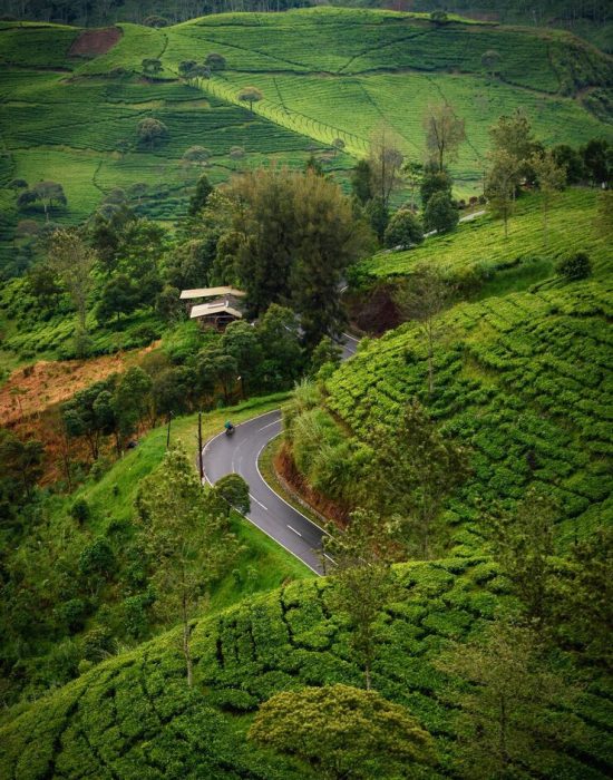 high-angle-view-landscape_1048944-13405057