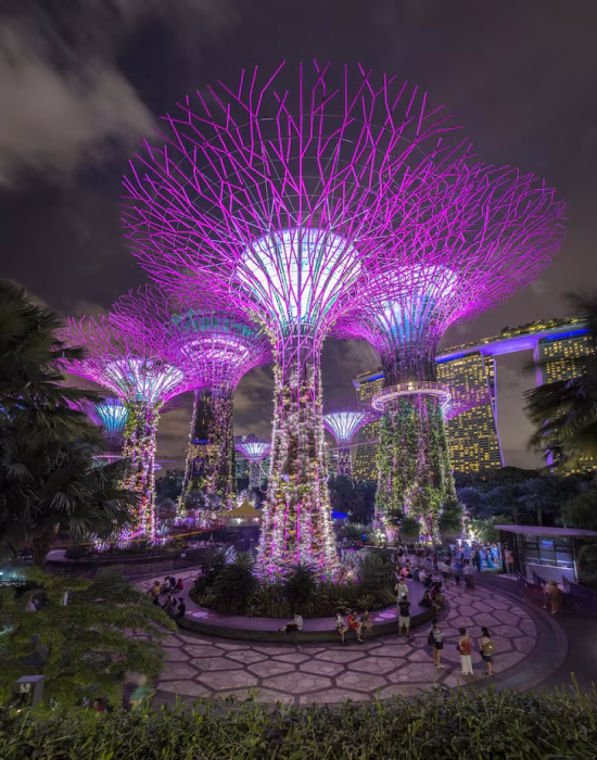 illuminated-tree-park-against-sky-night_1048944-4387446