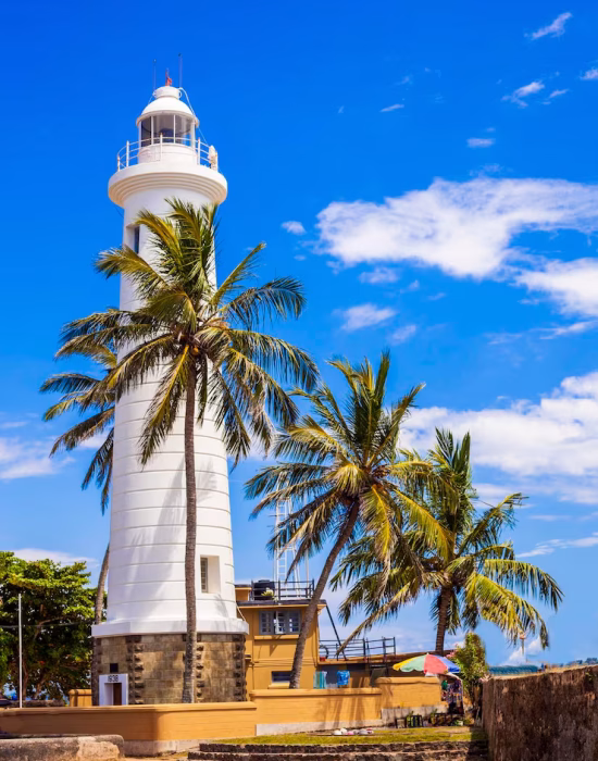 palm-trees-by-building-against-blue-sky_1048944-29423273