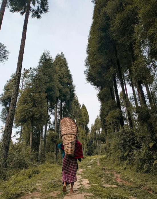 pexels-akshat-553087349-33537570