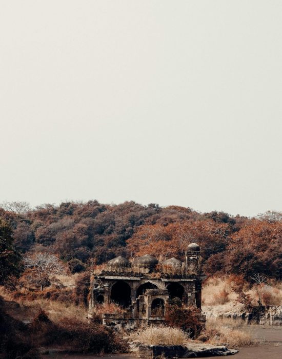pexels-himanshu817-16007592 (2)