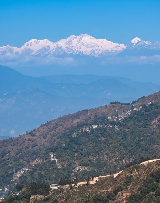 pexels-kolkatarchobiwala-33263641