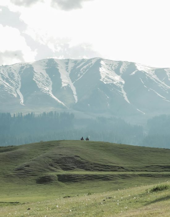 pexels-wanderinglenses-25841505