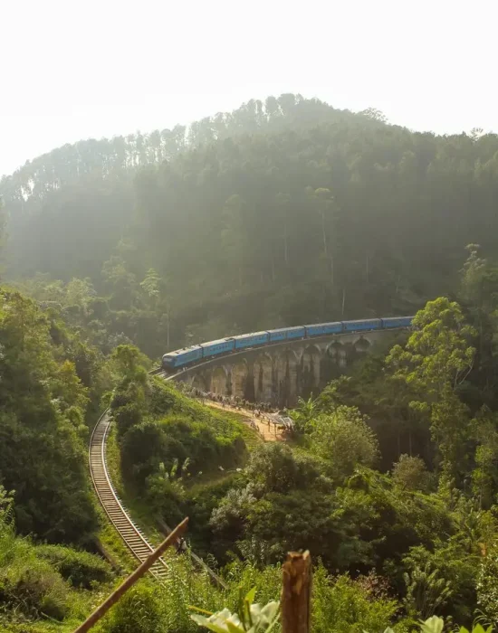 rail-road-bridge-demodara-nine-arch-bridge-morning-mist-with-train-gotuwala-ella-sri-lanka-vertical-blue-sky-with-copy-space-text_941247-2495