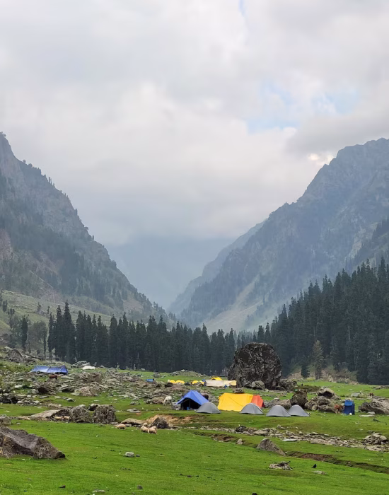 tarsar-marsar-trek-beautiful-kashmir_762730-321