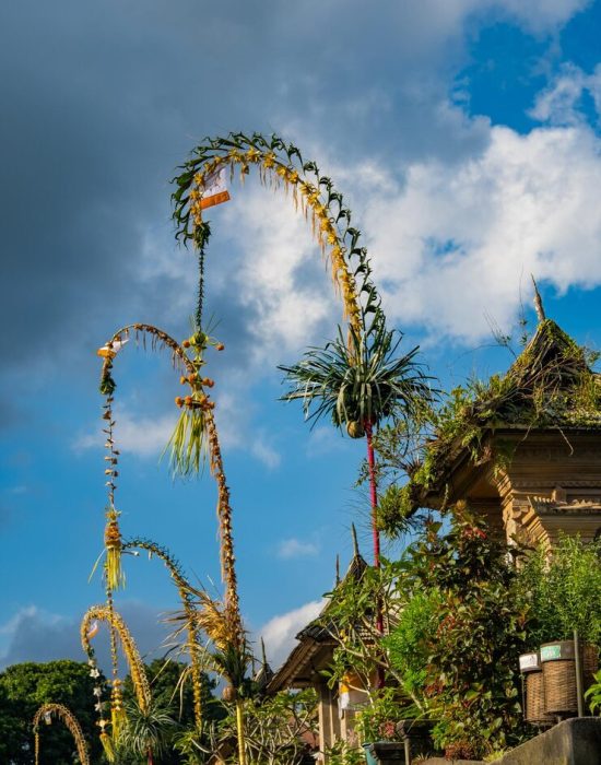 view-penjors-penglipuran-village_1048944-13071266